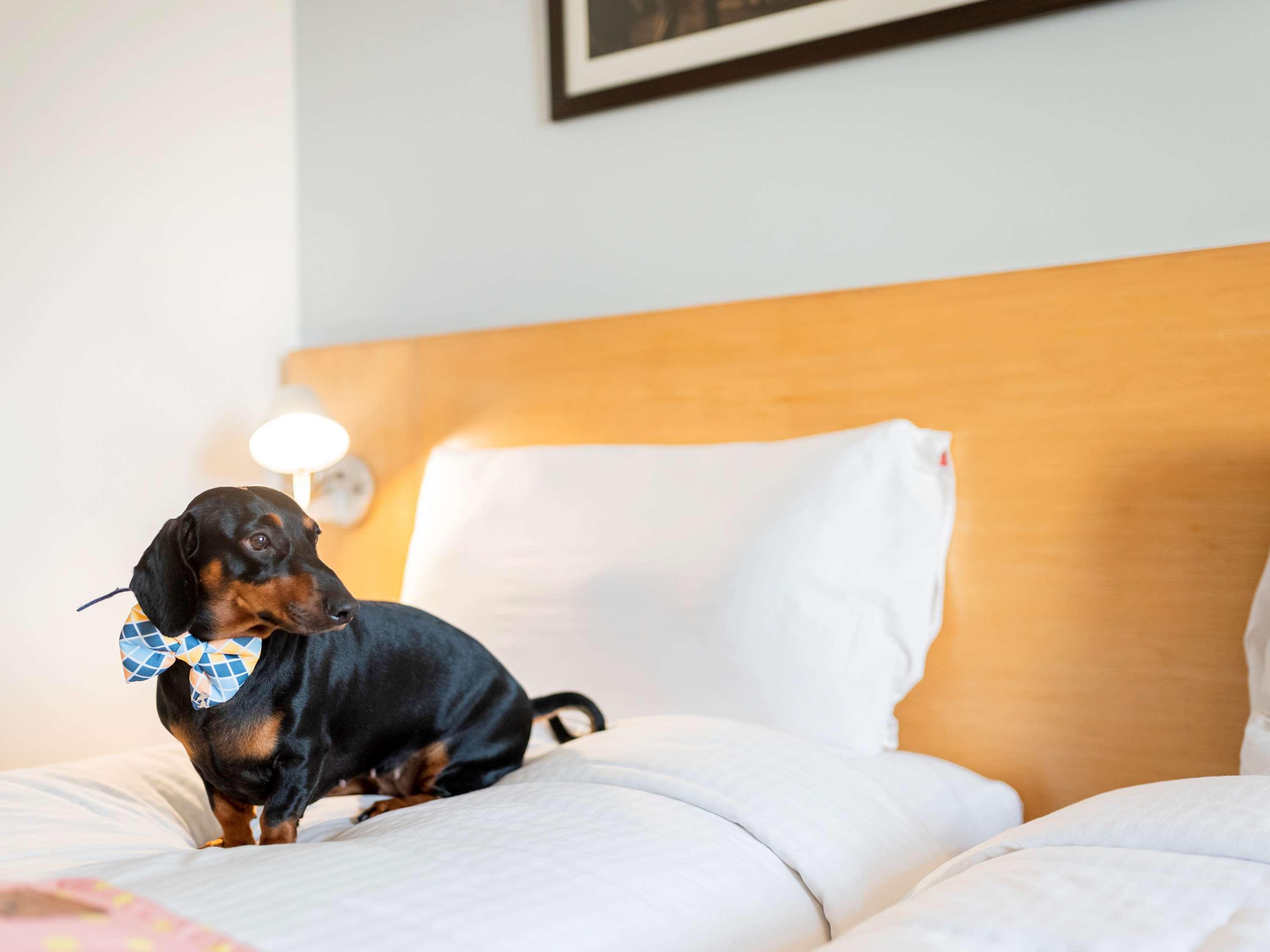 Ibis Bengaluru City Centre - An Accor Brand Ngoại thất bức ảnh